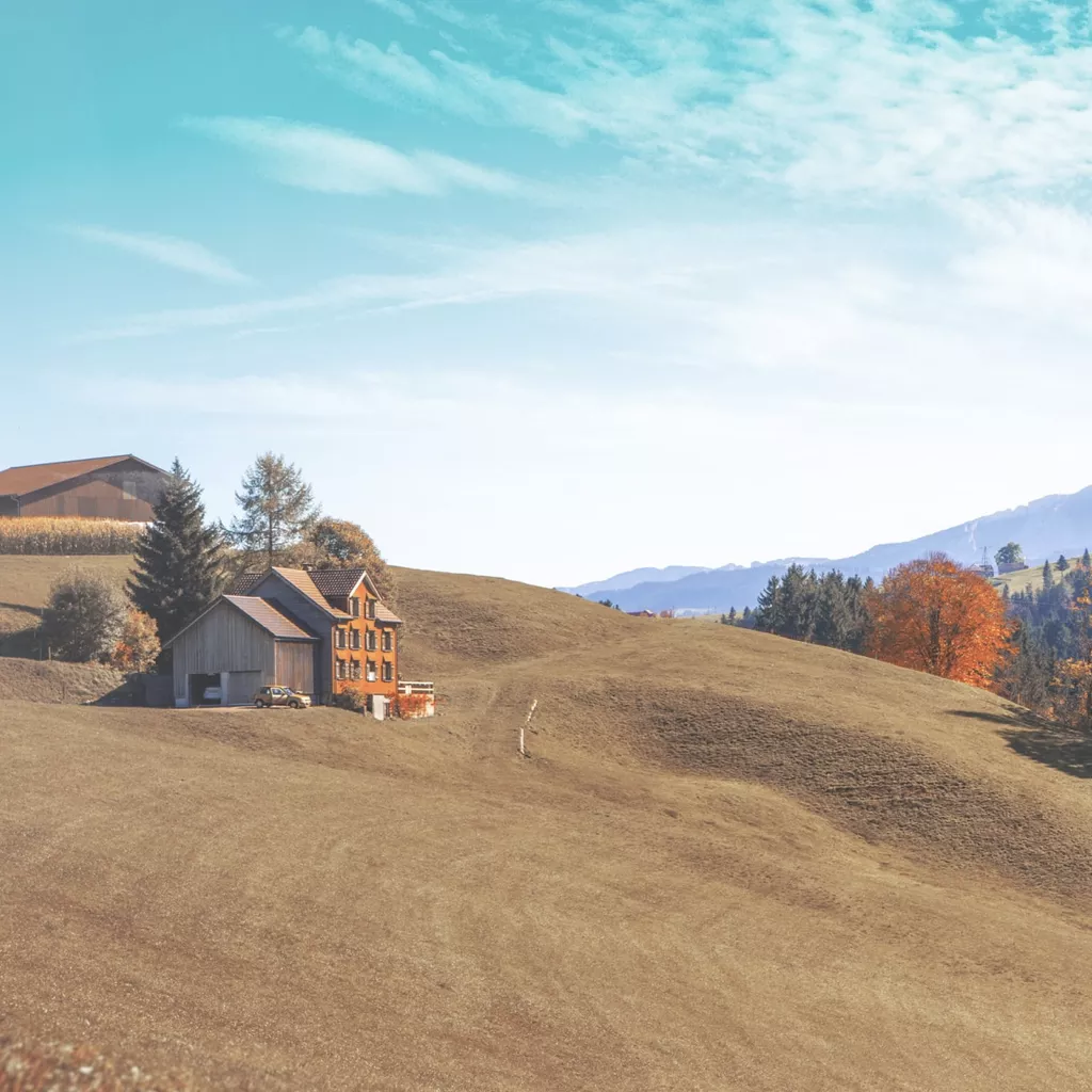A beautiful house surrounded by nature.