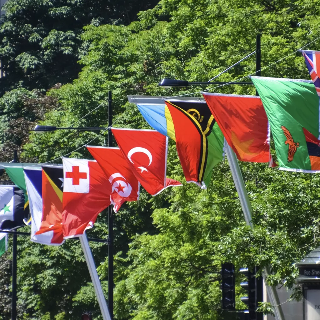 International flags flying